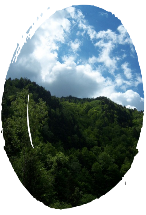 Rezervatia Cheile Tisitei Rezervatia Cheile Tisitei