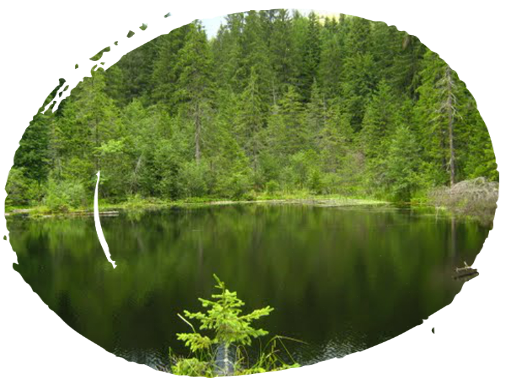 Lacul Negru Lacul Negru