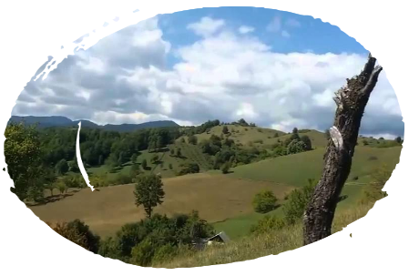 Nistoresti Nistoresti